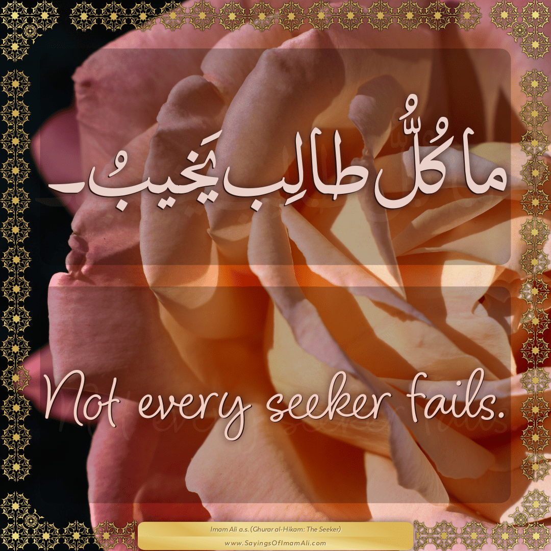 Not every seeker fails.